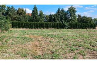 Haus kaufen in 06729 Elsteraue, Elsteraue - Baugrundstück für 1 oder 2EFH oder 2DHH