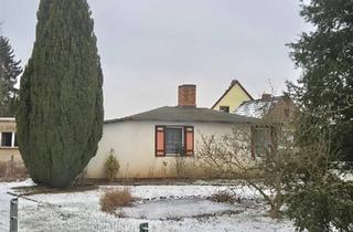 Einfamilienhaus kaufen in 03172 Guben, Guben - Charmantes Einfamilienhaus in Schenkendöbern mit Garten