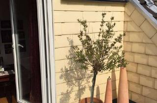 Wohnung mieten in Dorperstr. 21, 42651 Solingen-Mitte, Sonnige Loggia in ruhiger Einbahnstraße in der Innenstadt