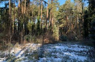 Grundstück zu kaufen in 30938 Burgwedel, Traumgrundstück in ruhiger Lage von Engensen "Lahberg"