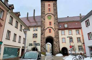 Wohnung mieten in Josefsgasse, 78050 Villingen-Schwenningen, Charmante 4-Zimmer-Maisonette *Süd-Loggia* Top-Innenstadtlage* Villingen