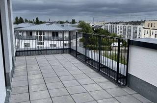 Wohnung mieten in Werner-Salomon-Straße, 14641 Nauen, Nachmieter gesucht: Schöne Dachgeschosswohnung mit großer Terrasse