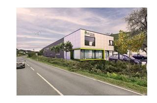 Gewerbeimmobilie mieten in An Der Braas, 57250 Netphen, Gewerbefläche im Erstbezug – flexibel gestaltbar – Top-Lage an der B62