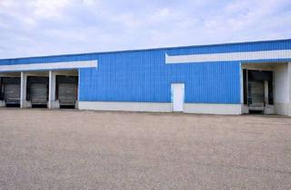 Büro zu mieten in 73479 Ellwangen, Lagerhalle / Bürofläche in Top-Lage - zu vermieten