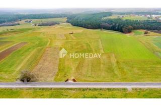 Grundstück zu kaufen in 93194 Walderbach, Großzügige Acker- bzw. Grünlandfläche in Walderbach – ca. 25.282 m²