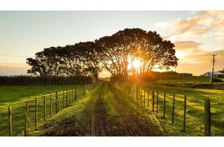 Grundstück zu kaufen in 79540 Lörrach, Exklusives Grundstück in Top-Aussichtslage von Lörrach Stetten (Leuselhardt)