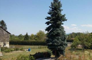 Wohnung kaufen in 77731 Willstätt, Willstätt - 1-Zimmerwohnung in Willstätt-Sand - Ideal für Kapitalanleger -