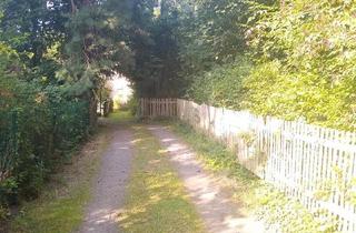 Einfamilienhaus kaufen in 09217 Burgstädt, Burgstädt - idyllisches Grundstück mit Haus zum Ausbauen