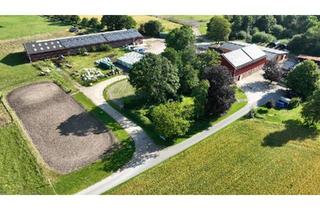 Haus kaufen in 24976 Handewitt, Handewitt - ReiterhofReitanlage vor den Toren Flensburgs
