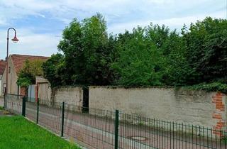 Einfamilienhaus kaufen in 06917 Jessen, Jessen (Elster) - Mini Bauernhof - Haus + Stall + Schuppen (Freizeitgrundstück)