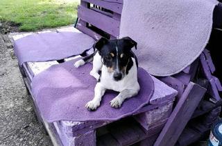 Einfamilienhaus kaufen in 38524 Sassenburg, Sassenburg - Haus am Bernsteinsee