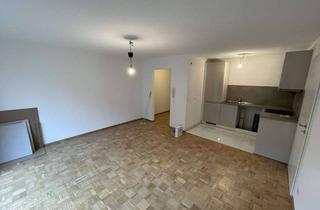 Wohnung mieten in 74348 Lauffen, (Einzug 01.03.2026) Neu Renovierte 2,5 Zimmer Terrassenwohnung in Lauffen am Neckar