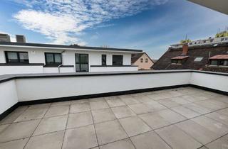 Penthouse mieten in 55252 Mainz-Kastel, Zweizimmerpenthouse mit großer Dachterrasse , EBK, Aufzug, TG-Stellplatz in Mainz-Kastel