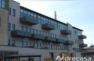 Wohnung mieten in Meißner Str. 79, 01445 Radebeul, Radebeul! Zentrale 1-R-Whg, Aufzug Dachterrasse!