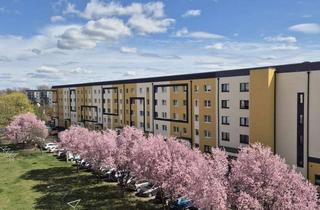 Wohnung mieten in Samsweger Straße 66, 39326 Wolmirstedt, Wohnung im Rathauseck