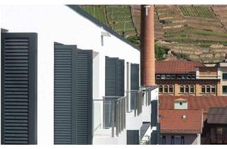 Wohnung mieten in Eugenie-Von-Soden-Straße 26, 73728 Esslingen, Moderne 2-Zimmer Wohnung *direkt vom Vermieter*