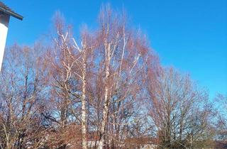 Wohnung mieten in 72379 Hechingen, Gepflegte 3-Zimmer-Wohnung mit Balkon in Hechingen