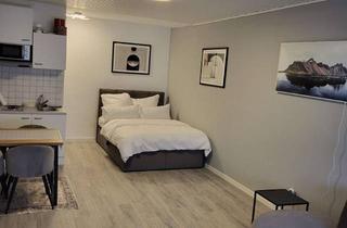 Wohnung mieten in Finkwarder, 25761 Westerdeichstrich, 1-Zimmer Wohnung voll möbelliert mit Stellplatz in Westerdeichstrich