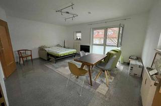 Wohnung mieten in 67550 Herrnsheim, Helle 1-Raum-Wohnung mit Einbauküche und Balkon in Worms