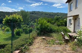Einfamilienhaus kaufen in 64750 Lützelbach, Handwerkerhaus mit Potenzial - Freistehendes Einfamilienhaus auf Traumgrundstück (1.000m²)