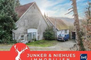 Einfamilienhaus kaufen in 33790 Halle, Einfamilienhaus mit großem Grundstück in Halle (Westf.) – idyllisch und ruhig gelegen