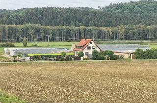 Haus kaufen in 89561 Dischingen, Gärtnerei mit Wohnhaus in Dischingen