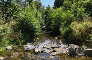 Immobilie kaufen in 54568 Gerolstein, Campingplatz, Zimmervermietung und Gastronomie - gepflegte Familienexistenz in der Eifel