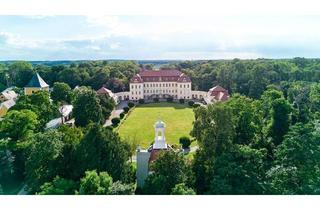 Haus kaufen in 04808 Thallwitz, Rokokoschloss mit Park, ca. 12 ha