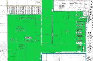 Gewerbeimmobilie mieten in 47906 Kempen, Multifunktionshalle mit teilweiser Bekranung