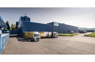 Gewerbeimmobilie mieten in Am Köhlersgehäu, 98544 Zella-Mehlis, Produktions- und Lagerhalle in verkehrsgünstiger Lage von Zella-Mehlis