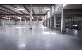 Gewerbeimmobilie mieten in 36289 Friedewald, Big Box: See-through walls