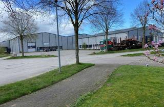 Büro zu mieten in Winkelsöhren, 23881 Breitenfelde, Logistikhalle und Büroflächen zu mieten