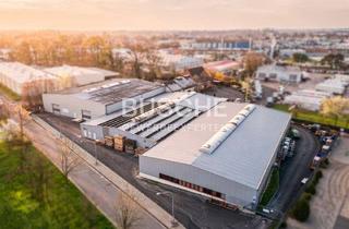 Gewerbeimmobilie kaufen in 49525 Lengerich, Lengerich Lohesch || 10.528 m² Grundstück || Gewerbeliegenschaft mit 4 Hallen und Bürotrakt