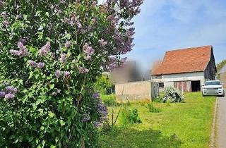 Grundstück zu kaufen in 64720 Michelstadt, Schönes Baugrundstück mit ausbaubarer Scheune in ruhiger Lage