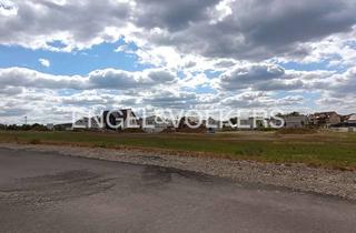 Grundstück zu kaufen in 38154 Königslutter, Ein Grundstück in Feldrandlage für Ihr individuelles Traumhaus