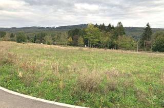 Grundstück zu kaufen in 61479 Glashütten, NATURNAH + VOLL ERSCHLOSSEN: Grundstück in Ortsrandlage von Glashütten