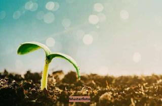 Grundstück zu kaufen in Oben Auf Dem Kalteborn U. A., 35708 Haiger, 56 landwirtschaftliche Grundstücke