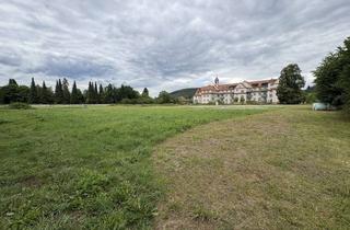 Grundstück zu kaufen in 97816 Lohr, Areal mit Zukunft: zusammenhängend, strategisch, entwicklungsstark - Investieren in Lohr am Main