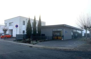 Gewerbeimmobilie kaufen in 64390 Erzhausen, Deine Villa mit Apartment & Gewerbehalle / Ausstellungsfläche