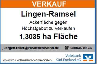 Immobilie kaufen in 49811 Lingen, 1,3035 ha AckerflächeMindestgebot 10,00 EUR/qm