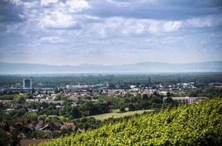 Büro zu mieten in 77656 Offenburg, Handelsflächen für Möbel, Küchen und Büromöbel