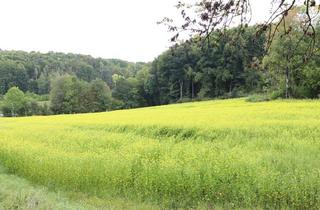 Gewerbeimmobilie kaufen in 91327 Gößweinstein, Attraktive Ackerfläche mit ca. 13.000 m² in Ortsrandlage von Gößweinstein!