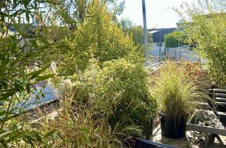 Wohnung mieten in Domhofstraße 8/2, 79576 Weil am Rhein, Exklusive 3,5-Zimmer-Maisonette mit 60 m² Terrasse am Tüllinger Berg