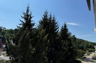 Wohnung mieten in Am Bahnhof 38, 06577 Heldrungen, Frisch renovierte 3-Zimmer Wohnung im 3.OG mit Balkon!