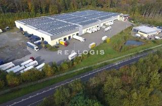 Gewerbeimmobilie mieten in 56410 Montabaur, Im Alleinauftrag: Lager/ Logistik/ Reifenlager - Anbindung an die A3 - 18x Rampe