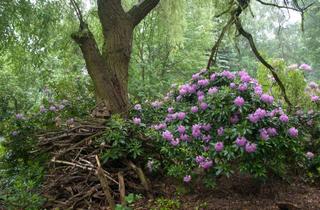 Grundstück zu kaufen in Nachtigallenweg 14, 04821 Brandis, Leipzig – Waldsteinberg Ohne Makler! 1880qm Bauland in idyllischer, stadtnaher Lage, VB 410 000 E