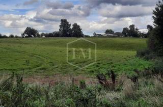 Immobilie kaufen in 53809 Ruppichteroth, Bauerwartungsland in Ruppichteroth