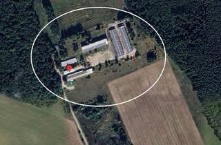 Gewerbeimmobilie kaufen in Gratze, 16259 Heckelberg-Brunow, Gewerbegrundstück 58.294 m² mit Lagergebäuden