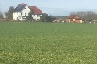 Haus kaufen in 59510 Lippetal, Lippetal - Resthof in Alleinlage zu verkaufen