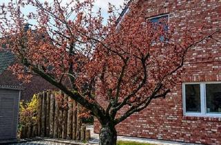 Doppelhaushälfte kaufen in 25826 Sankt Peter-Ording, Sankt Peter-Ording - Moderne Doppelhaushälfte, Bj. 2021 mit SW-Terrasse